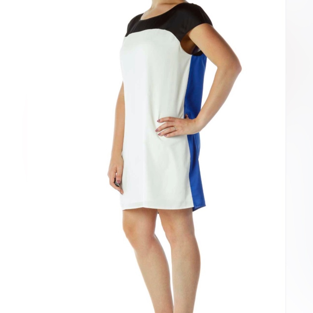Express Cocktail Shift Dress